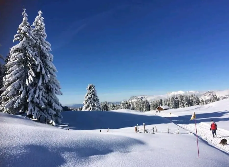 La cabane d'en haut Manigod Apartment